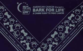 A Bark for Life dog bandanna from the 2013 Coventry Bark for Life. 