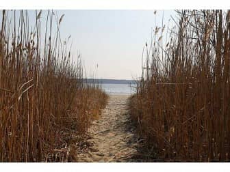 [CREDIT: Statewide MLS]  A narrow path leads to a small private beach at 163 Capron Farm Drive.