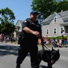 [CREDIT: Rob Borkowski] Ptlm. Paul Wells and his partner, WPD dog Fox, at the start of the 2017 Gaspee Day Parade.