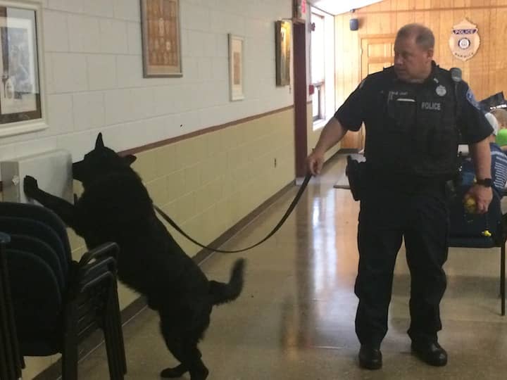 [CREDIT: Rob Borkowski] WPD Ptlm. Paul Wells is led to hidden drugs in in the community room during a demonstration of WPD K-9 Fox's tracking prowess for Lippitt students May 2.