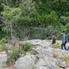 [CREDIT: DEM] Hikers at Lincoln Woods State Park.