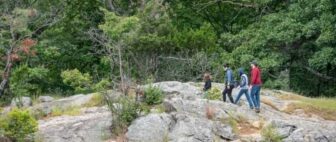 [CREDIT: DEM] Hikers at Lincoln Woods State Park.