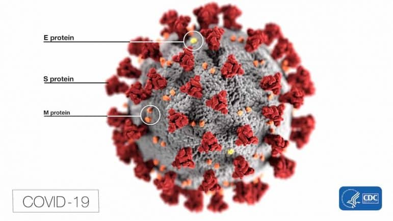 [CREDIT: CDC] This image shows the shape of coronaviruses. Spikes that adorn the outer surface. RI is setting quarantine violation fines as the outbreak continues.