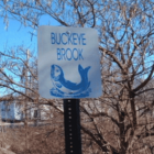 [CREDIT: Buckeye Brook Coalition] Buckeye Brook, one of 17 Warwick waters on the DEM's Impaired Waters List, has the longest list of impairments among local water bodies.