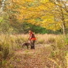 [CREDIT: DEM] The small game season for pheasant, cottontail rabbit, gray squirrel, bobwhite quail, red and gray fox opens this Saturday, Oct. 17,