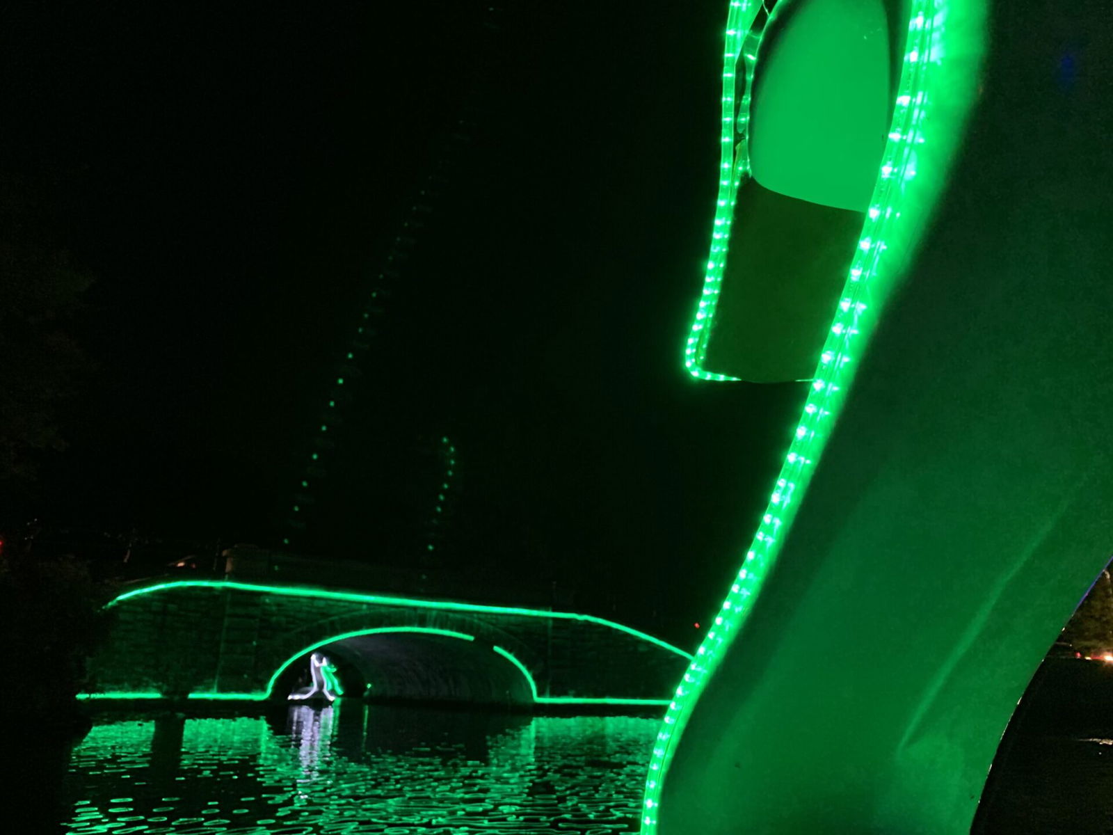 [CREDIT: Rob Borkowski] Just down the hill from Roger Williams Park's Museum of Natural History "Night at the Haunted Museum," festively illuminated swan boats provide a relaxing end to the evening.