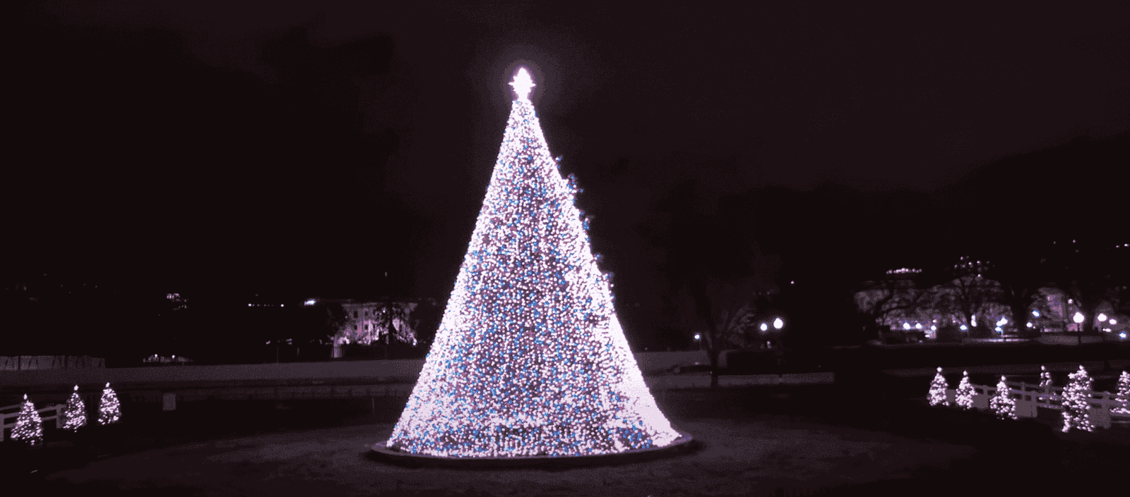 [CREDIT: Nationaltree.org] The 2020 National Christmas Tree Lighting Dec. 3 at President’s Park, co-presented by the National Park Service and the National Park Foundation.