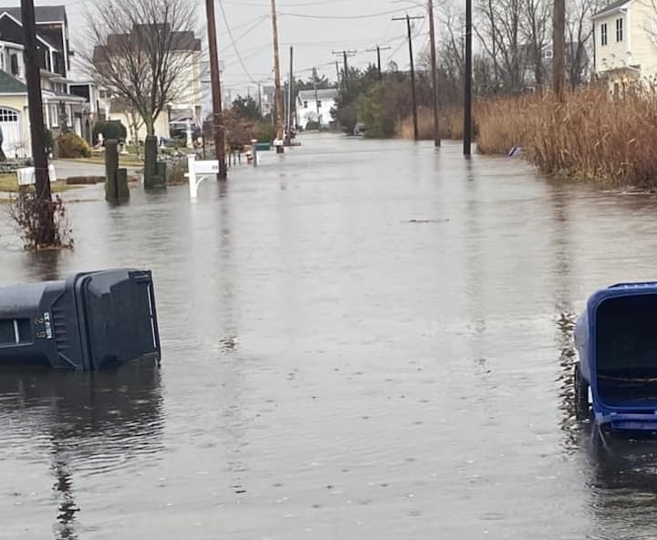 [CREDIT: Mayor Picozzi] Mayor Frank Picozzi reported flooding on streets and downed trees across the city.