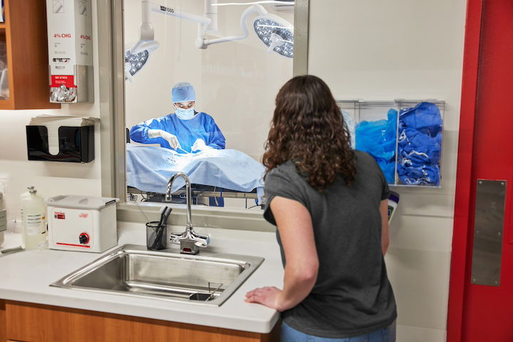 [CREDIT: VEG] An open floor plan and visual access to operating rooms at VEG's pet ER center offers pet owners a view of their pets care in progress.