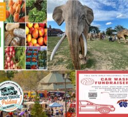 Warwick weekend events for Labor Day weekend involve local dining entertainment, a car wash and a full weekend of Elephants at the Cliff Walk in Newport.